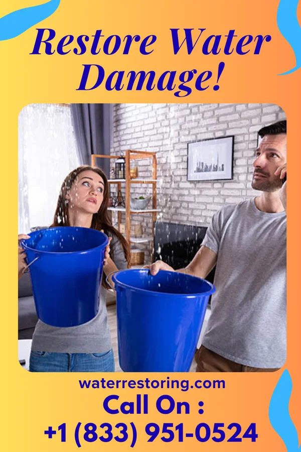 water restoration Diamond Sewage Cleanup Inc Ruby
