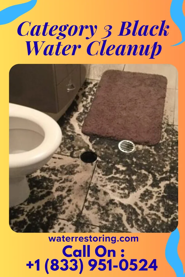 Category 3 Black Water Cleanup in Ruby, SC