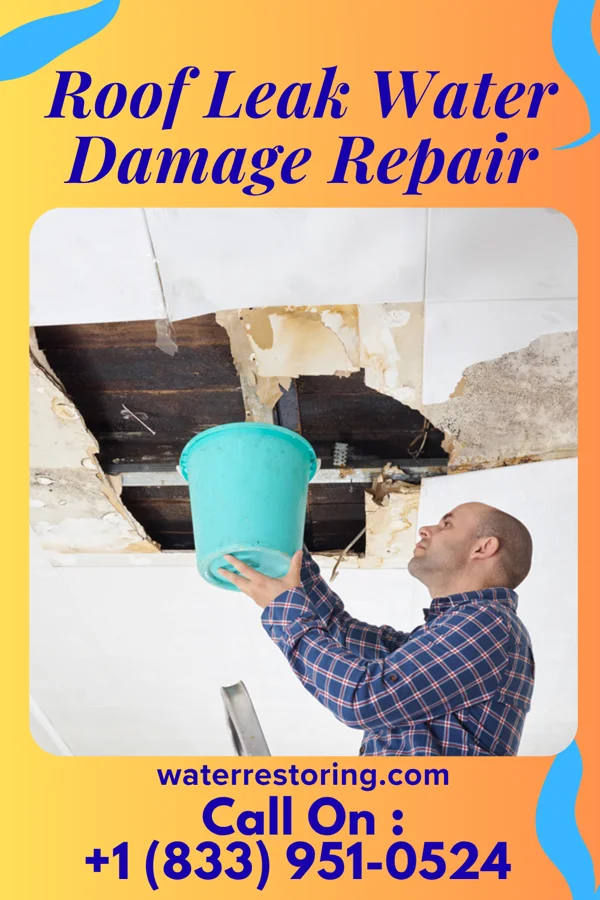 Roof Leak Water Damage Repair in Ruby, SC
