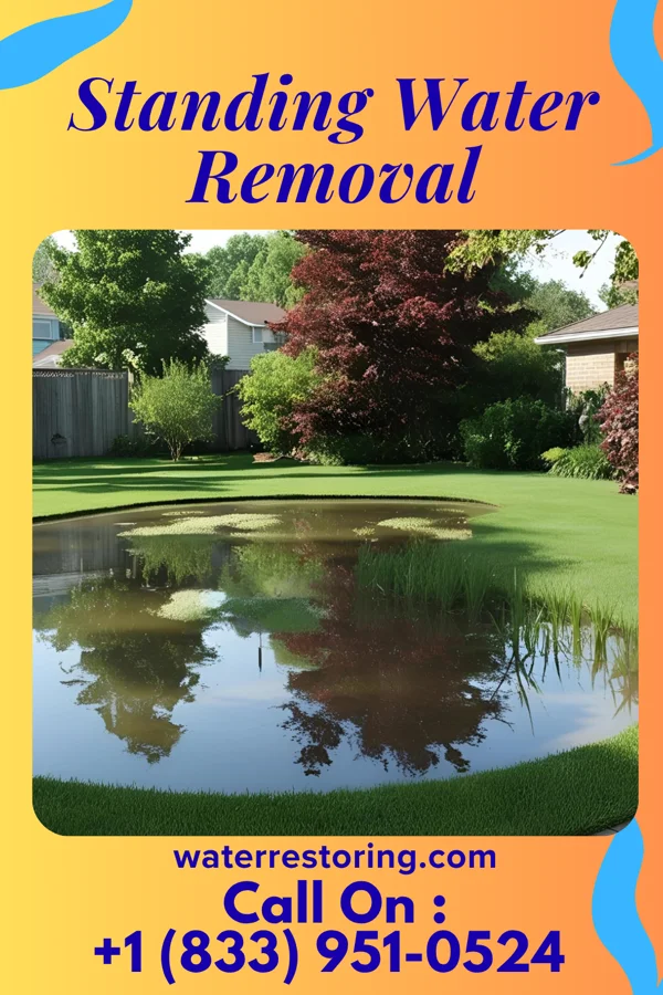 Standing Water Removal in Ruby, SC